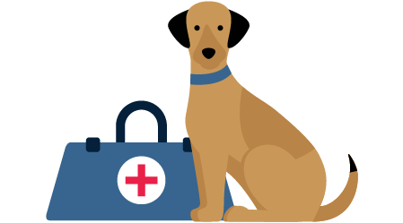 Illustration Info: Hund neben Arzttasche